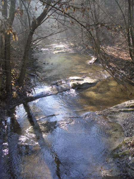 Il Torrente Neirone